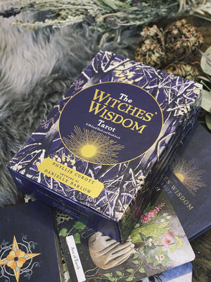 The Witches Wisdom Tarot cards