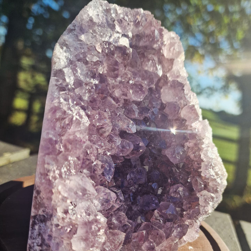 Amethyst cluster